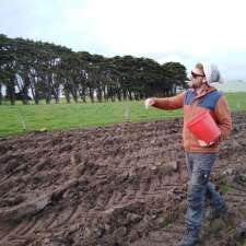 Direct Seed | 3485 Great Ocean Rd, Nullawarre VIC 3268, Australia