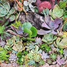 Plant Burst | Establishment | Zeller Ave, Preston QLD 4352, Australia