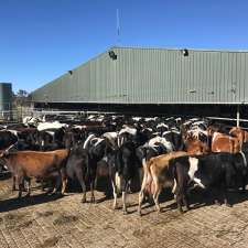 Walcha Dairy | Walcha NSW 2354, Australia