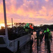 Pipe Clay Oysters | 284 Bicheno St, Clifton Beach TAS 7020, Australia