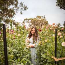 Big Sky Flower Farm | 750 Military Rd, Brukunga SA 5252, Australia