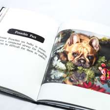 The Dog Book Company | 1101/280-288 Burns Bay Rd, Lane Cove NSW 2066, Australia