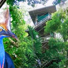 Daintree Discovery Centre | Tulip Oak Road, Turn off, Cape Tribulation Rd, Cow Bay QLD 4873, Australia