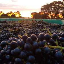 Black Wallaby Wines | 38 Avondale Ln, Bridgewater North VIC 3516, Australia