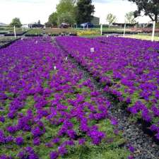 Plant Growers Australia Pty Ltd | 3 Harris Rd, Wonga Park VIC 3115, Australia