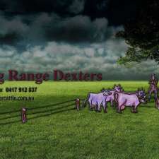 Darling Range Dexters | 755 Sheans Creek Rd, Balmattum VIC 3666, Australia