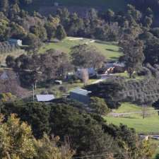 Golden Creek Olives | 2295 Meeniyan-Promontory Rd, Fish Creek VIC 3959, Australia