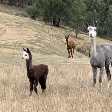 Omaru Alpaca Farm | 190 Hildebrand Rd, Cottles Bridge VIC 3088, Australia