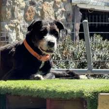 Ruff Cutz Pet Salon | Establishment | Unit 5/50-52 George St, Marulan NSW 2579, Australia