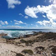 Swincers Rocks Camping Grounds | Corny Point SA 5575, Australia