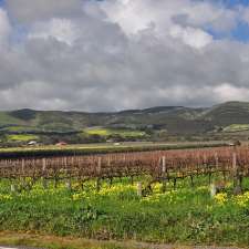 Danshi Rise Winery | 638 Colville Rd, Willunga South SA 5172, Australia