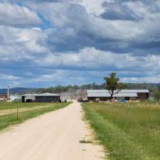 Carr Farming | 146 Wickham Rd, Elbow Valley QLD 4370, Australia