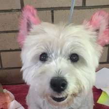 Furtastic Dog Grooming | 20 Canham Way, Greenwood WA 6024, Australia