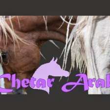 Chetar Arabians | 74 Colcott St, Timboon VIC 3268, Australia