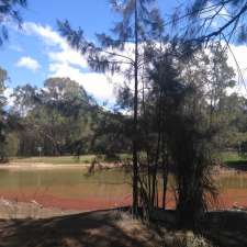 Shortland Brush | 8 Henry Lawson Dr, Lansdowne NSW 2163, Australia