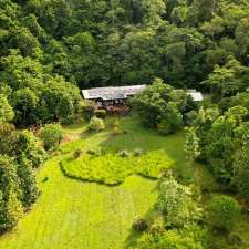 NightWings Rainforest Centre | 2125 Mossman Daintree Rd, Wonga QLD 4873, Australia