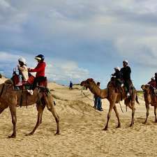 Oakfield Ranch Camel Rides | Birubi Beach Lower Public Car park, Anna Bay NSW 2316, Australia