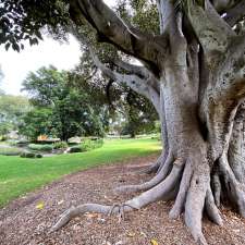 Bill Potts Memorial Garden | 6/11 Hawthorn Cres, Hazelwood Park SA 5066, Australia
