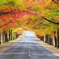 Ranges Legal Pty Ltd | Establishment | 3A Market St, Kyneton VIC 3444, Australia
