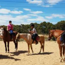Enhanced Insight 'Heal your heart through horses' | 17 Grayling Ct, Globe Derby Park SA 5110, Australia