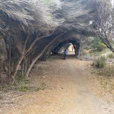 The Grotto | Tilba Rd, Bermagui NSW 2546, Australia