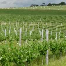 Garden and Field Wines | 33 Gnadenberg Rd, Moculta SA 5353, Australia