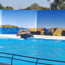 Coffs Coast Visitor Services - Dolphin Marine Magic | 65 Orlando St, Coffs Harbour NSW 2450, Australia