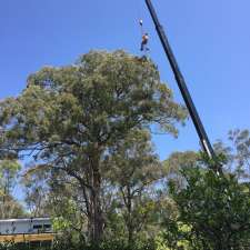 Kurrajong Tree Services | 122 Old Bells Line of Rd, Kurrajong NSW 2758, Australia
