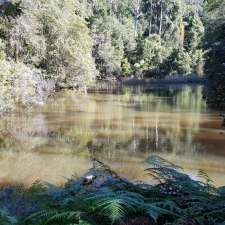 Watermans Walk, Katandra Picnic Area | 4 Croton Ave, Holgate NSW 2250, Australia