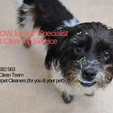 Squeaky Clean Team Carpet Cleaning Melbourne | 23 Clonaig St, Brighton East VIC 3187, Australia