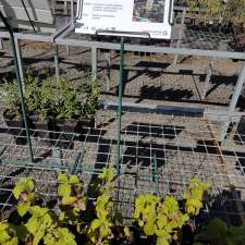 Sutherland Council Plant Nursery | 345 The Boulevarde, Gymea NSW 2227, Australia