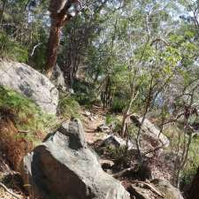 Gore Creek Reserve Bush Trail | 9 Ford St, Greenwich NSW 2065, Australia