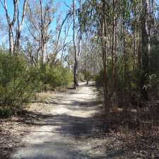 Koondrook State Forest | Establishment | Koondrook NSW 2732, Australia