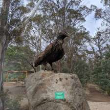 Tasmanian Bushland Garden | Tasman Hwy, Buckland TAS 7190, Australia