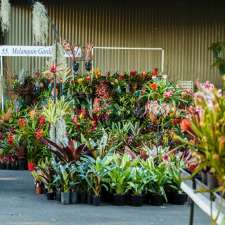 Collectors' Plant Fair | 1 Racecourse Rd, Clarendon NSW 2756, Australia