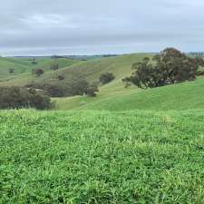 Macedon Ranges Lamb | 67 Tullohs Ln, Sidonia VIC 3444, Australia