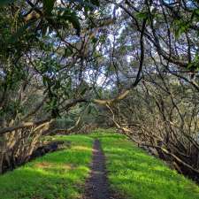 Nothing To See Lookout | Homebush Bay Dr, Concord West NSW 2138, Australia