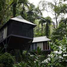 Daintree Ecolodge | 3189 Mossman Daintree Rd, Daintree QLD 4873, Australia