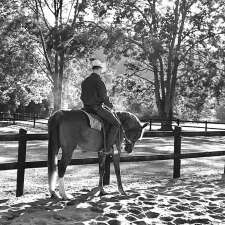 Stuart Clunes Equine Training | 70 Tarata Rd, Guanaba QLD 4210, Australia