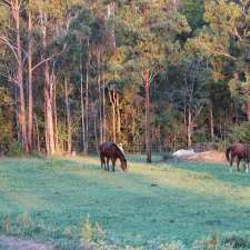 Curra Ridge Horse Rides | 163 Ashfords Rd, Curra QLD 4570, Australia