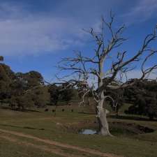 Cadogan Country House | 89 Cashens Ln, Guyong NSW 2798, Australia