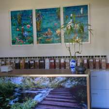 Barefoot Doctor -Scott Smallwood | 22/7 Lindsay Rd, Buderim QLD 4556, Australia