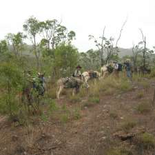 Wilderness Expeditions | LOT 3765 Rocca Rd, Herberton QLD 4872, Australia