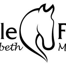 Saddle Fitting by Elizabeth Moore | 326 Pinjarra-Williams Rd, Blythewood WA 6208, Australia