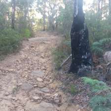 Waratah Park | Rosina Road, Hill Top NSW 2575, Australia