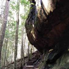 Bargo River State Conservation Area | Hill Top NSW 2575, Australia