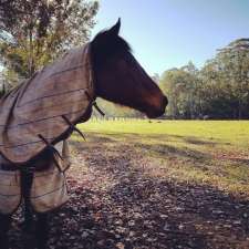 Ridgeview Equestrian | 23 Pointers Rd, Martinsville NSW 2265, Australia