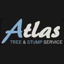 Atlas Tree & Stump Services | 128 Davenport Terrace, Seacliff Park SA 5049, Australia