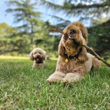Bollies Oodle Farm Stay | Establishment | off Yulungah Road, 166 Hillbricks Rd, Trafalgar VIC 3824, Australia