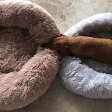 Cosy Pet Beds | 8 Hedges Ct, Laidley Heights QLD 4341, Australia